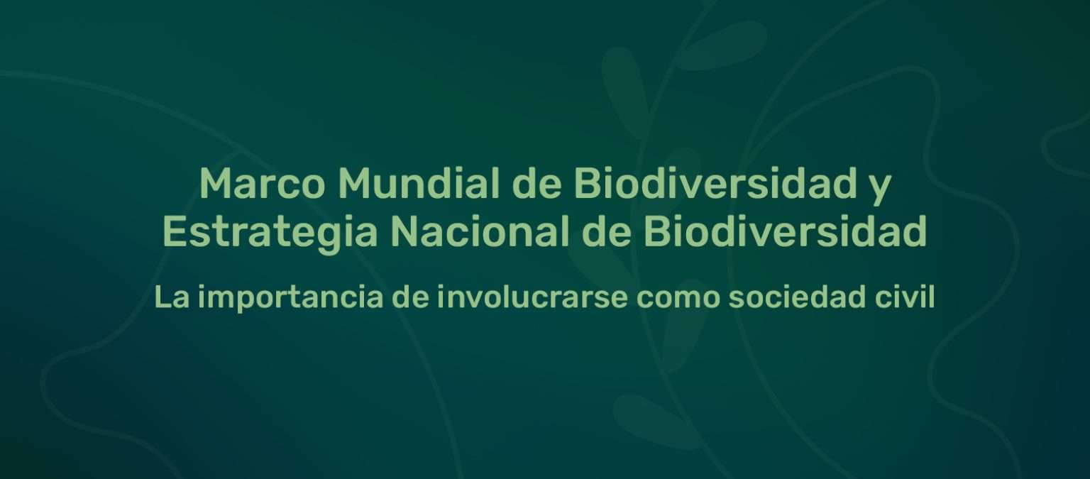 Marco Mundial De Biodiversidad Y Estrategia Nacional De Biodiversidad