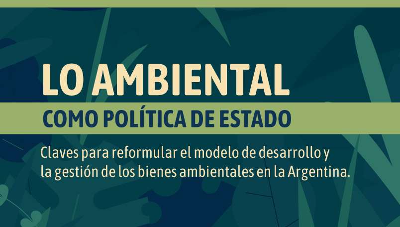 Lo ambiental como política de Estado. Claves para reformular el modelo de  desarrollo y la gestión de los bienes ambientales en la Argentina | FARN