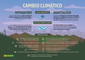 ¿Cómo abordar el cambio climático?