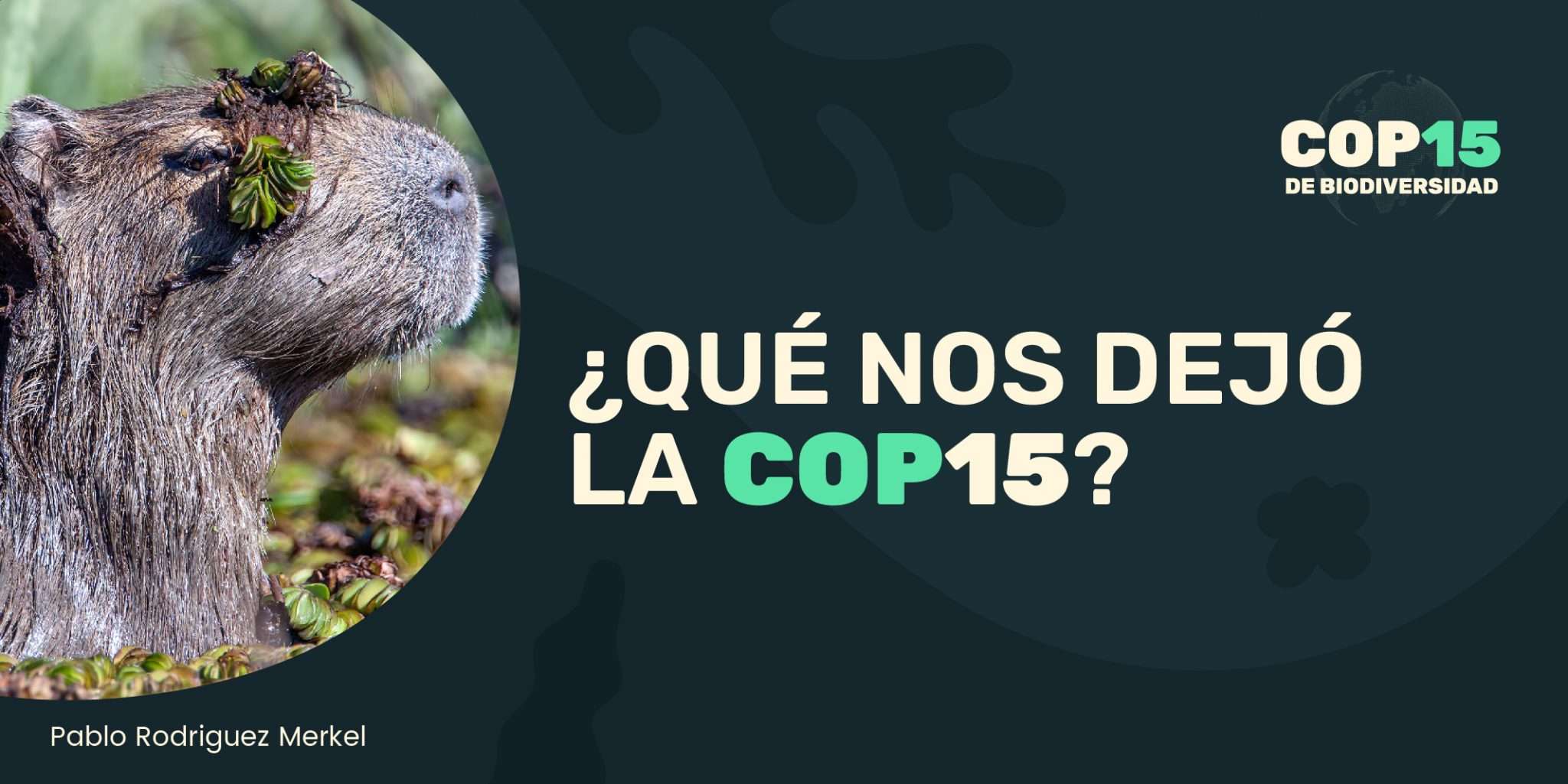 COP15: UN MARCO MUNDIAL PARA PROTEGER A LA BIODIVERSIDAD A 2030 | FARN